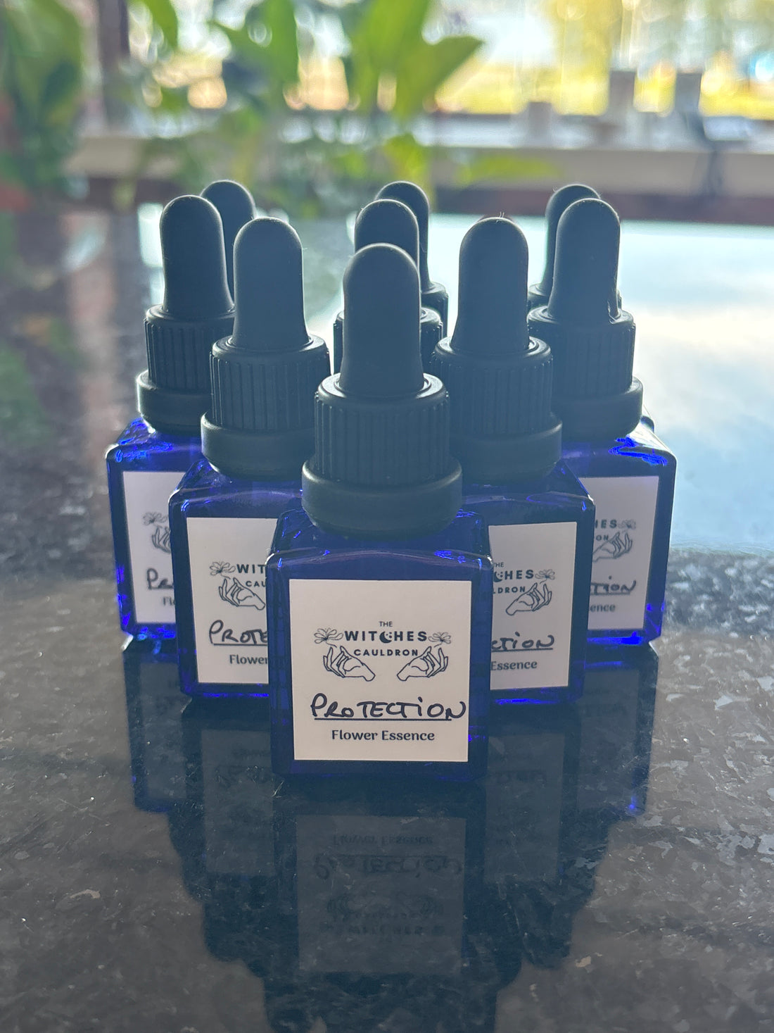 Protection Flower Essence