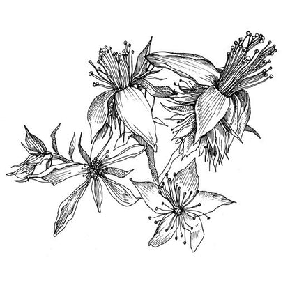 Fortitude Flower Essence